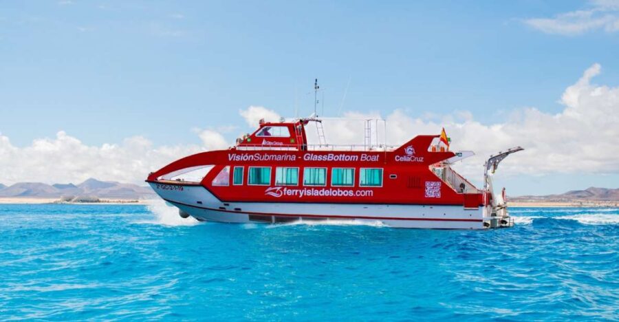 Fuerteventura: 1-Hour Mini Swim & Snorkel Cruise