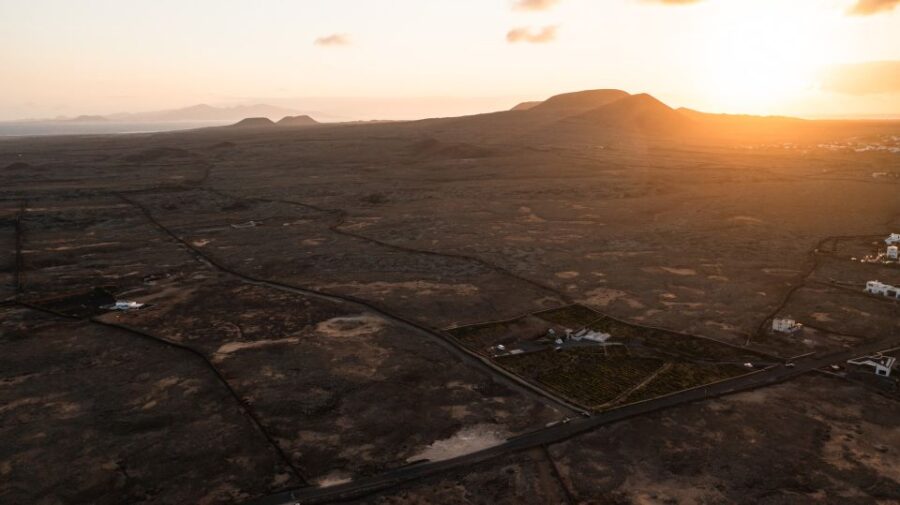 Fuerteventura: Tour of Bodega Conatvs Vineyard With Tasting - Tour Overview
