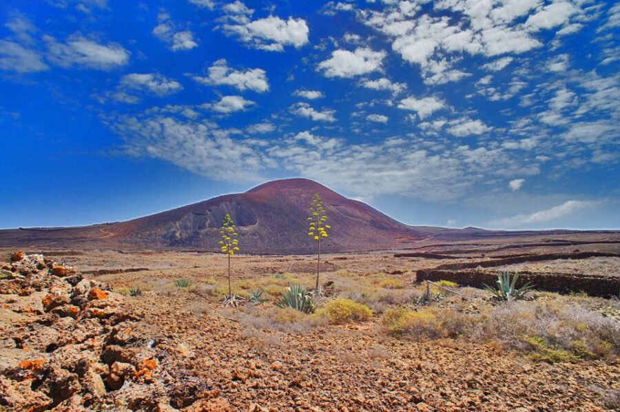 Fuerteventura: Trekking Tour Through the North of the Island - Tour Overview and Pricing