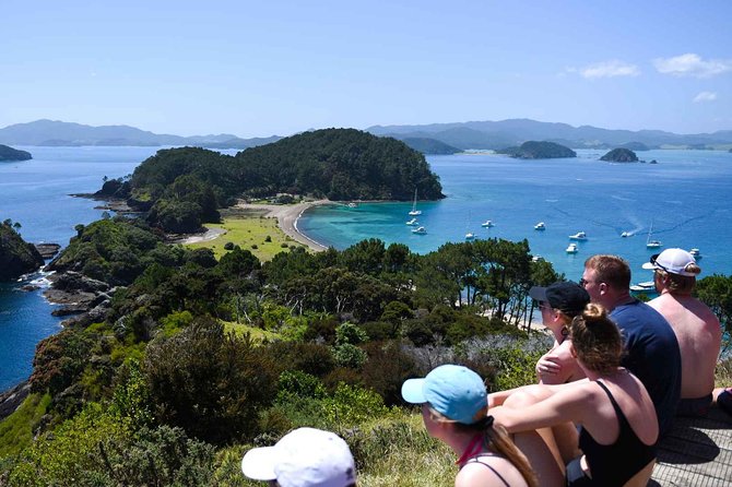 Full-Day Adventure Cruise With Lunch in Bay of Islands