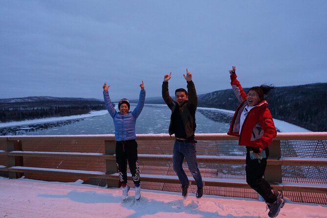 Full Day Arctic Circle Tour