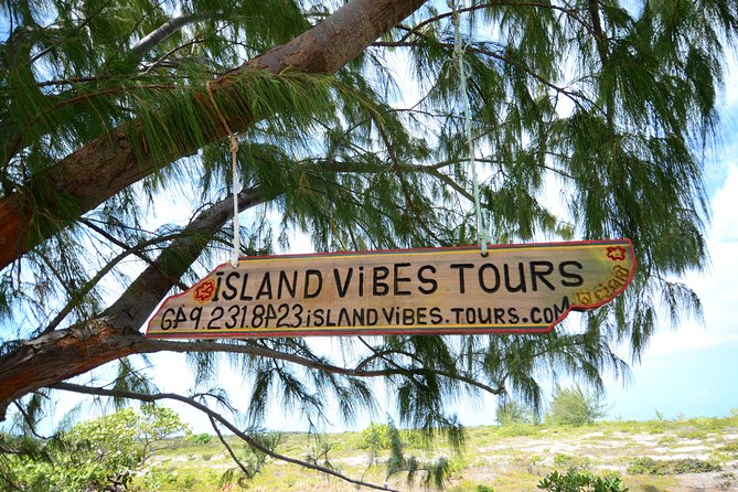 9 Best Lunch Experiences In Providenciales