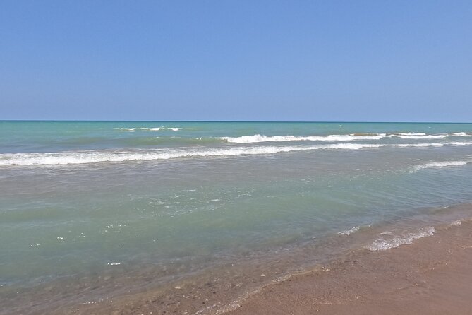 Full-Day Beach Day at Grand Bend - Overview and Details