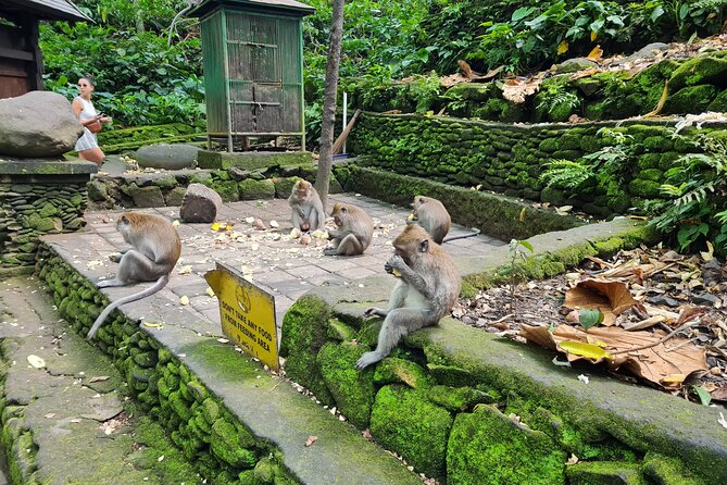 Full Day Best of Ubud Private Tour