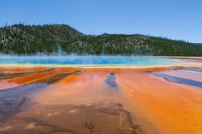 Full Day Best Of Yellowstone National Park Tour From Big Sky