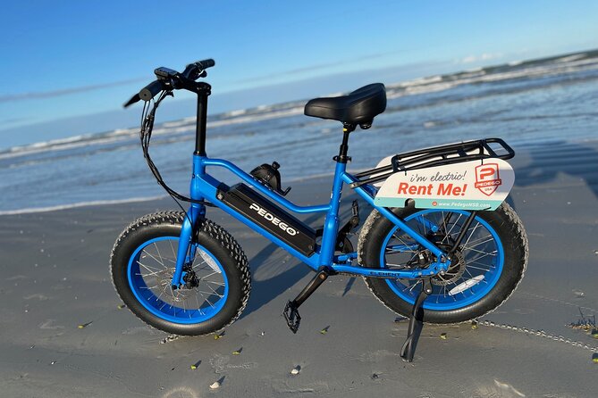 Full Day Electric Bike Rental