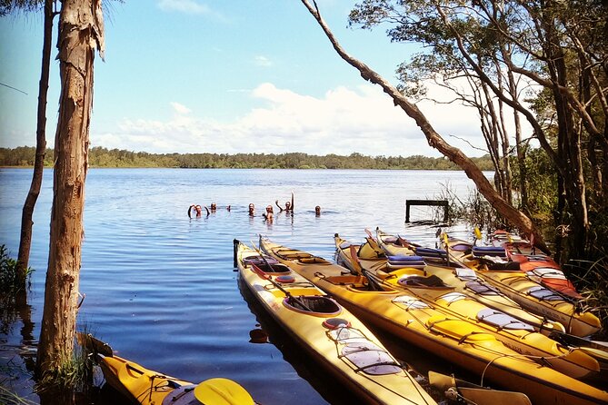 3 Best Guided Tours In Noosa and Sunshine Coast