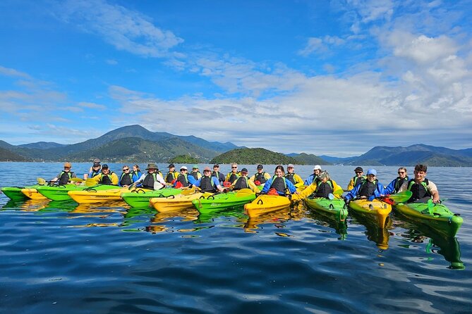 Full Day Guided Sea Kayak Tour From Picton - Tour Overview