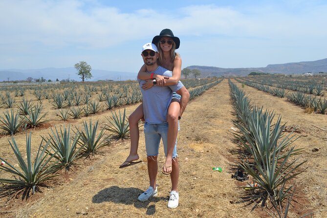 Full Day Guided Tour in Amatitán and Tequila With Tasting