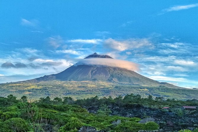 2 Best Guided Tours In Pico