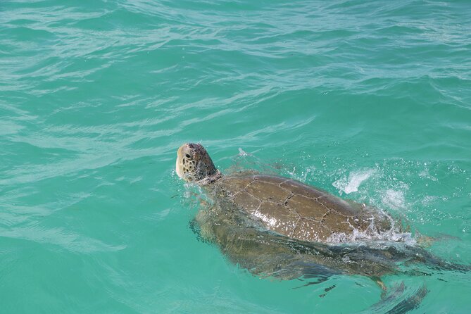 Full Day Guided Tour to Sian Kaan (Short Way)