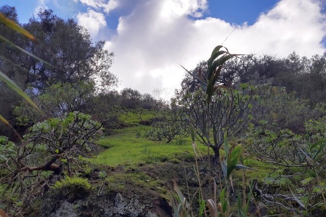 Full Day Hiking and Waterfalls Experience - Overview and Experience Details