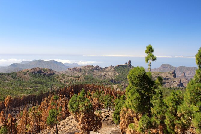 Full Day Hiking Gran Canaria Peaks of Gran Canaria - Overview of the Experience