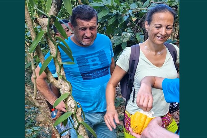Full-Day Jungle Trek on Nosy Komba (Lemur Island) With the Black Lemur Sanctuary - Tour Overview