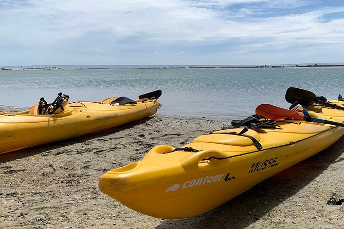 Full Day Kayaking Tour in Coorong National Park