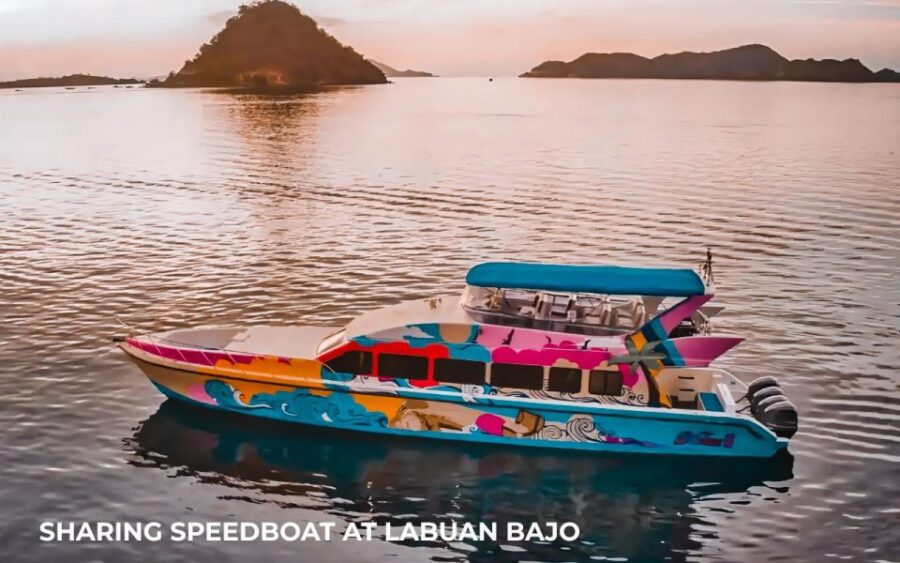 Full Day Komodo Tour 6 Spot & Snorkeling - Sharing Speedboat