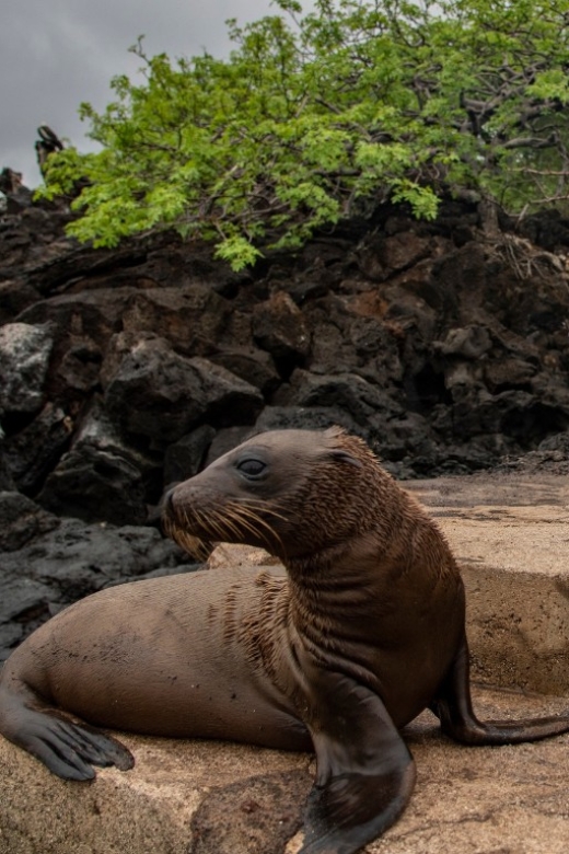 2 Best Tours In Puerto Baquerizo Moreno