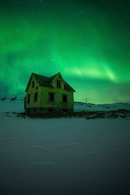 Full Day Magic of the Arctic Lights in Tromso - Activity Overview