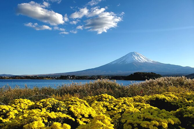 Full Day Mount Fuji Private Tour With English Speaking Guide - Highlights of the Itinerary