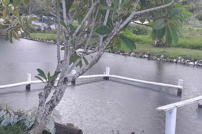 Full Day Nadi Discover Tour ( From Sigatoka Coral Coast Hotels )