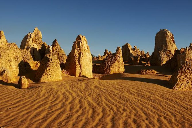 Full Day Pinnacle Desert Explorer From Perth Including Hillarys and Lancelin Sandboarding