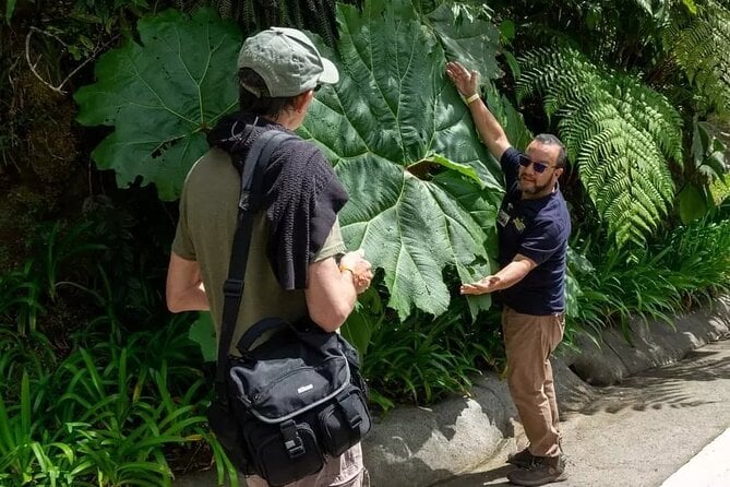 20 Best Full-Day Tours In San Jose