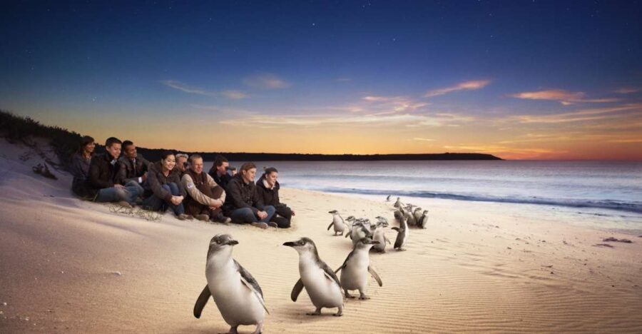 Full-Day Private Australian Wildlife Tour of Phillip Island - Overview of the Tour