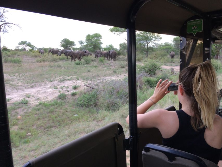 Full-Day Private Big 5 Safari in Kruger National Park - Overview