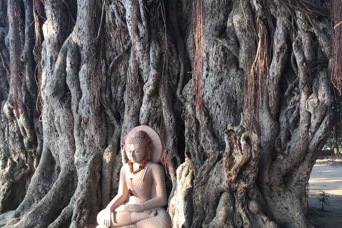 4 Best Guided Tours In Bodh Gaya
