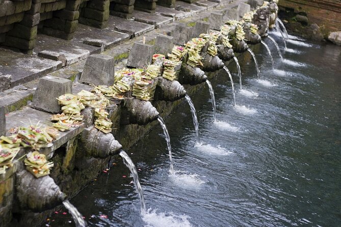 Full Day Private Guided Tour to Bali - Inclusions