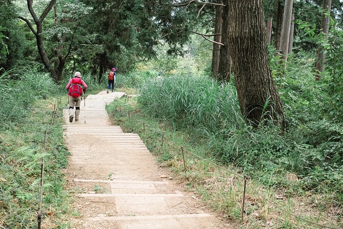 Full Day Private Hiking Tour in Mt. Takao