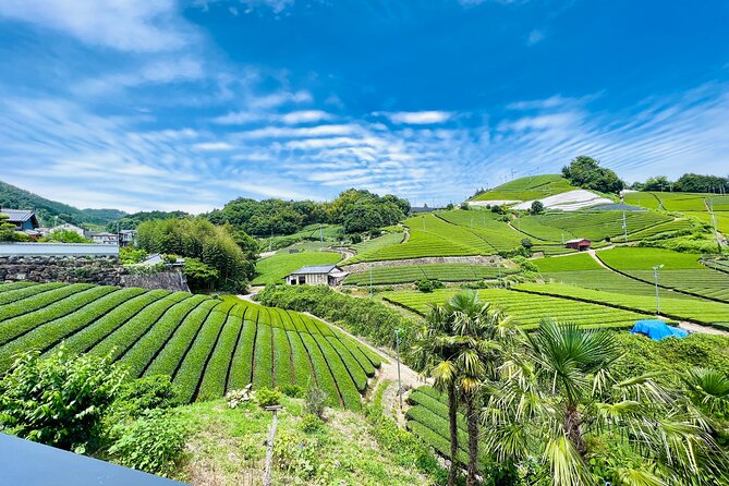 Full Day Private Matcha Experience True Hidden Kyoto - Experience Overview