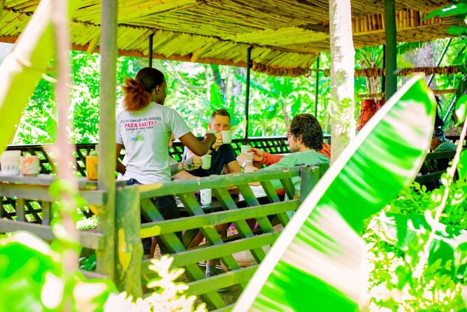 Full Day Private Materuni Waterfall and Kikuletwa Hot Spring Tour
