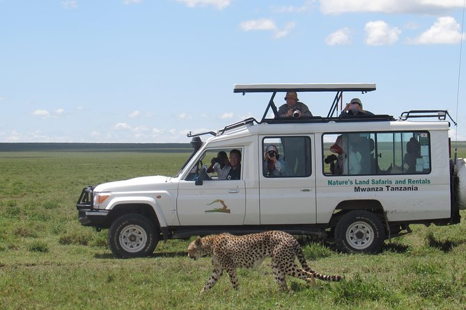 Full-Day Private Serengeti Safari From Mwanza