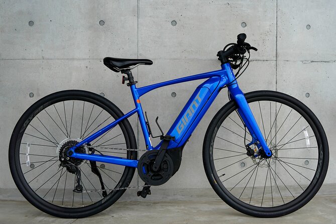 Full-Day Private Shimanami-Kaido E-Bike & Cruise Tour