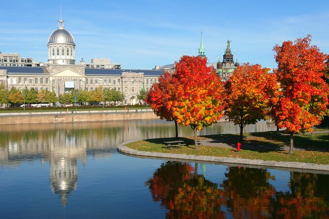 Full Day Private Shore Tour in Montreal From Montreal Cruise Port - Private Transportation