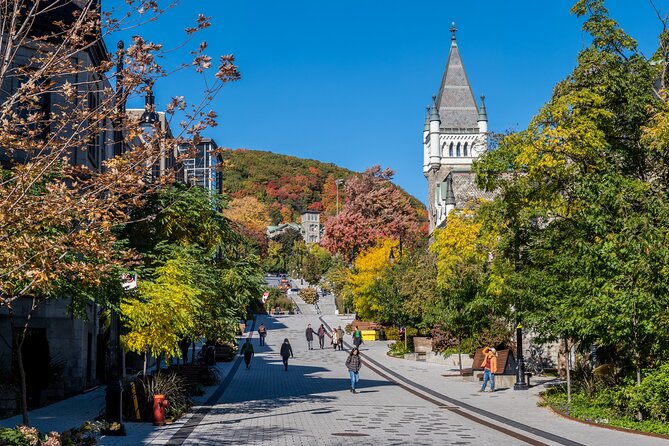4 Best Full-Day Tours In Montreal