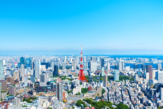 Full Day Private Shore Tour in Tokyo From Yokohama Cruise Port - Tour Overview