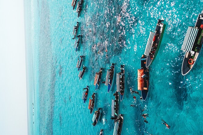 Full-Day Private Tour in Zanzibar With Baraka Aquirium
