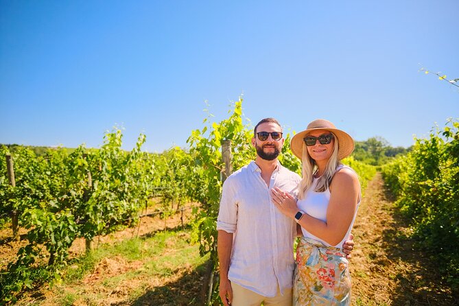 Full Day Private Tour to Chianti Wine Region From Florence - Tour Overview