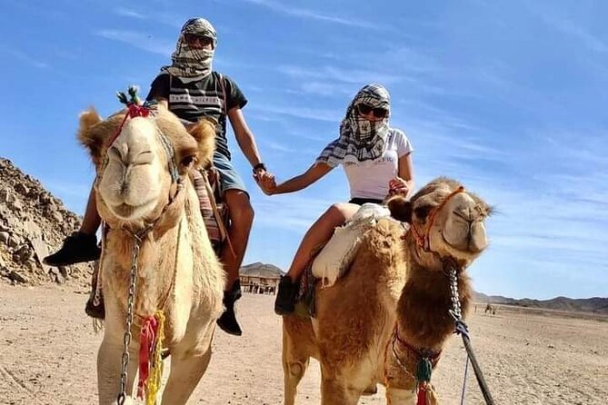 Full-Day Safari Adventure in Hurghada With Pick up and Dinner