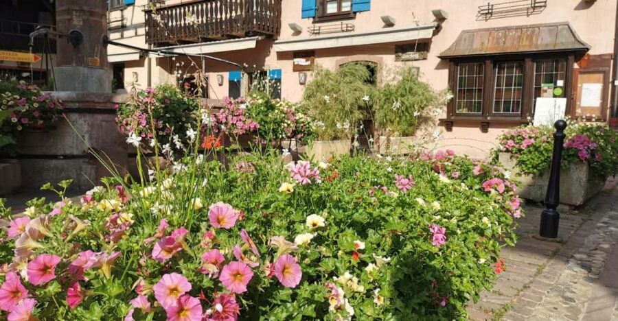 4 Best Full-Day Tours In Colmar