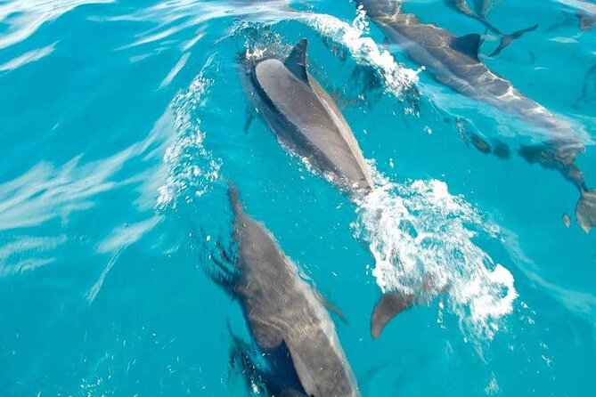 4 Best Full-Day Tours In Port Louis