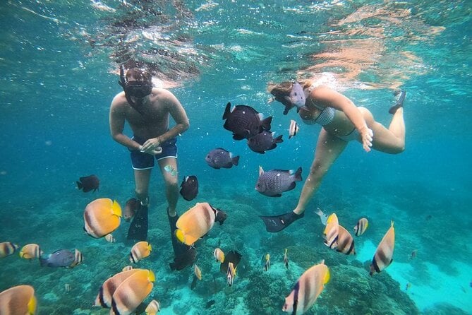 Full Day Snorkeling Activity At Bali Blue Lagoon