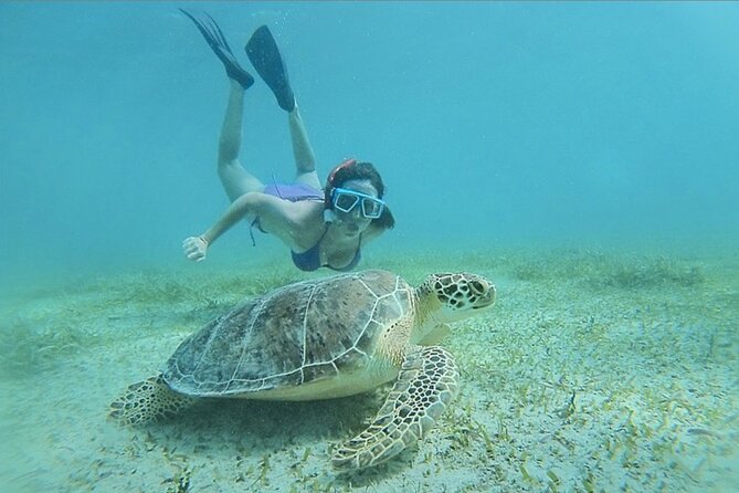Full-Day Snorkeling Tour to Culebra Island With Lunch - Inclusions and Amenities