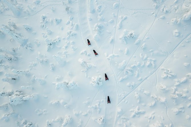 Full Day Snowmobile Safari Into the Lappish Wilderness in Rovaniemi - Inclusions and Meeting Details