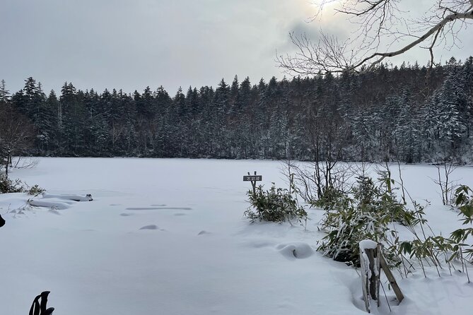 Full Day Snowshoeing Adventures With Onsen.