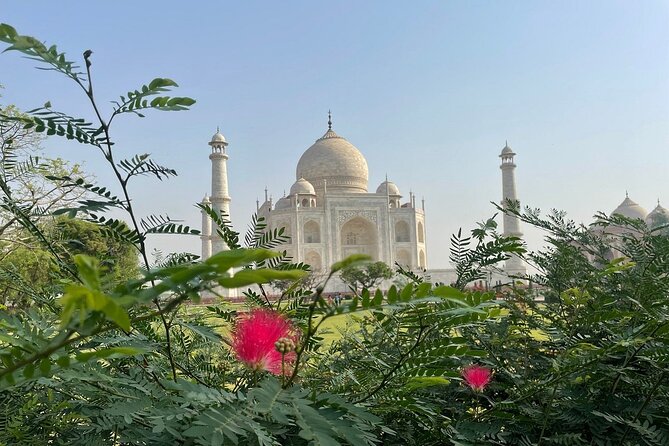 Full Day SOS Wildlife Sanctuary With Sunrise at Taj Mahal - Tour Overview