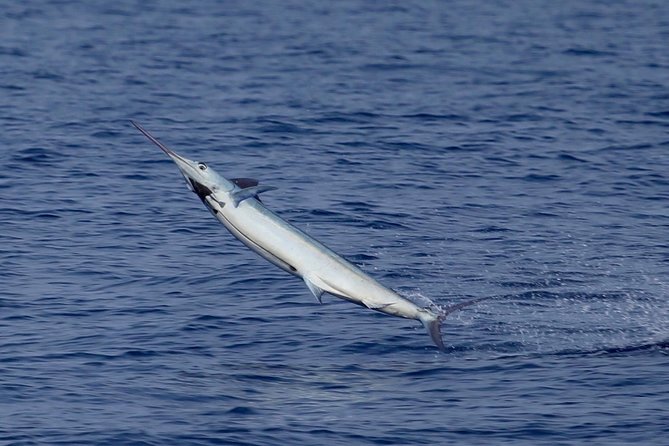 Full Day Sportsman/Enthusiast Charter
