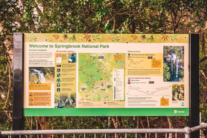 Full-Day Springbrook National Park Tour From the Gold Coast - Tour Overview